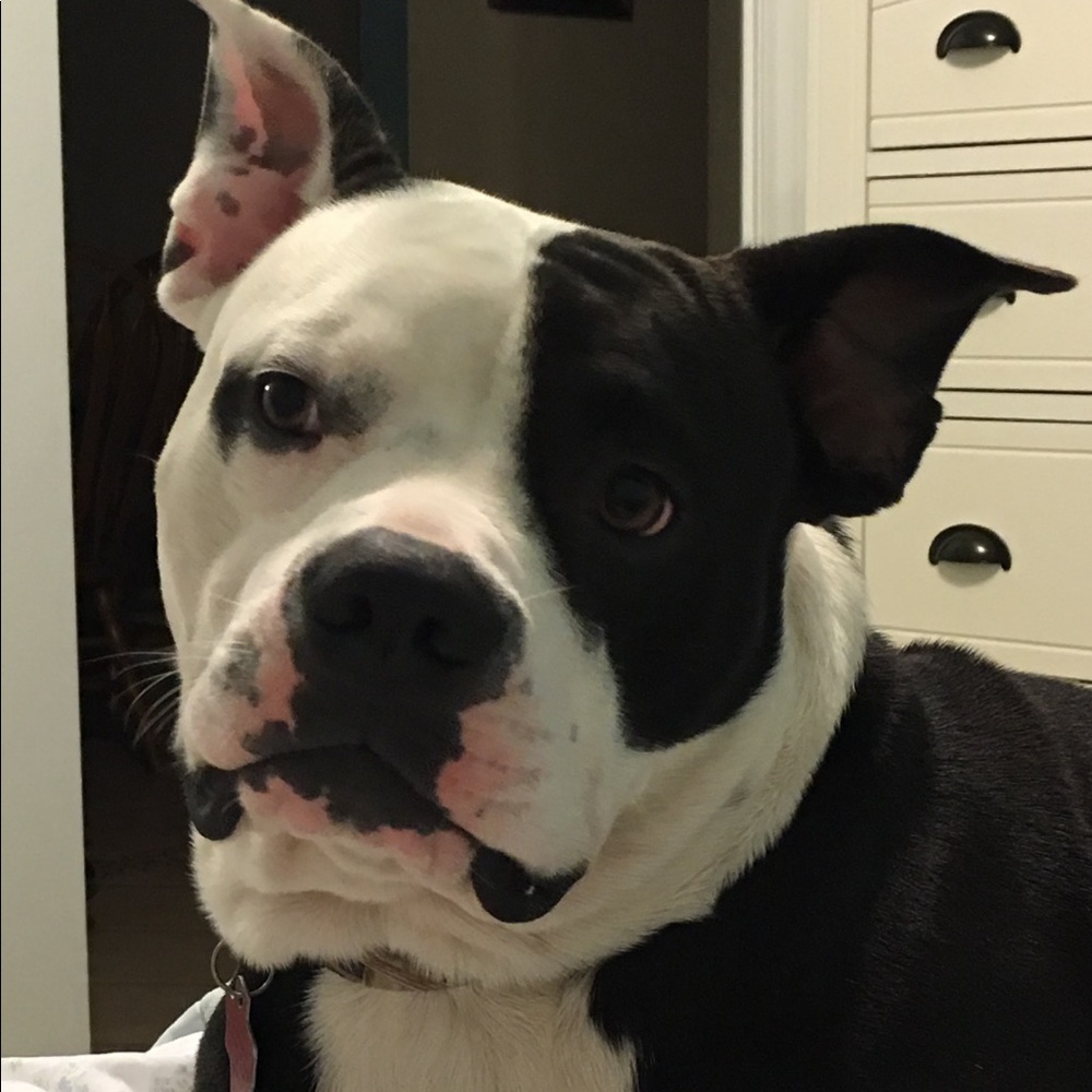 Meet your Posher, Katy